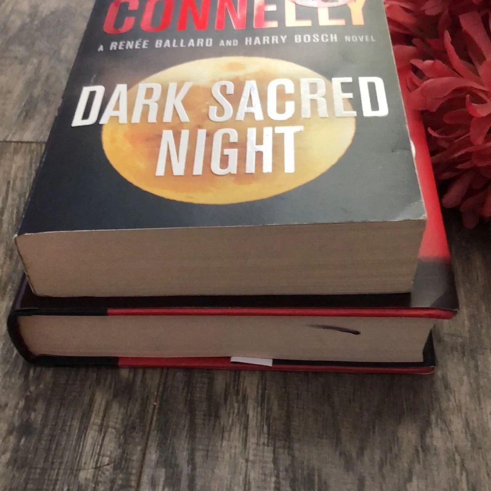 PRAGUE CEMETARY & DARK SACRED NIGHT hardcover & paperback fiction thrillers
